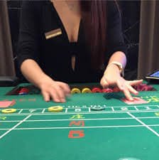 Antarmuka taruhan UFC di aplikasi mobile spin online